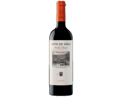 Rioja Coto de Imaz Reserva 2021 - Vin Rouge d'Exception