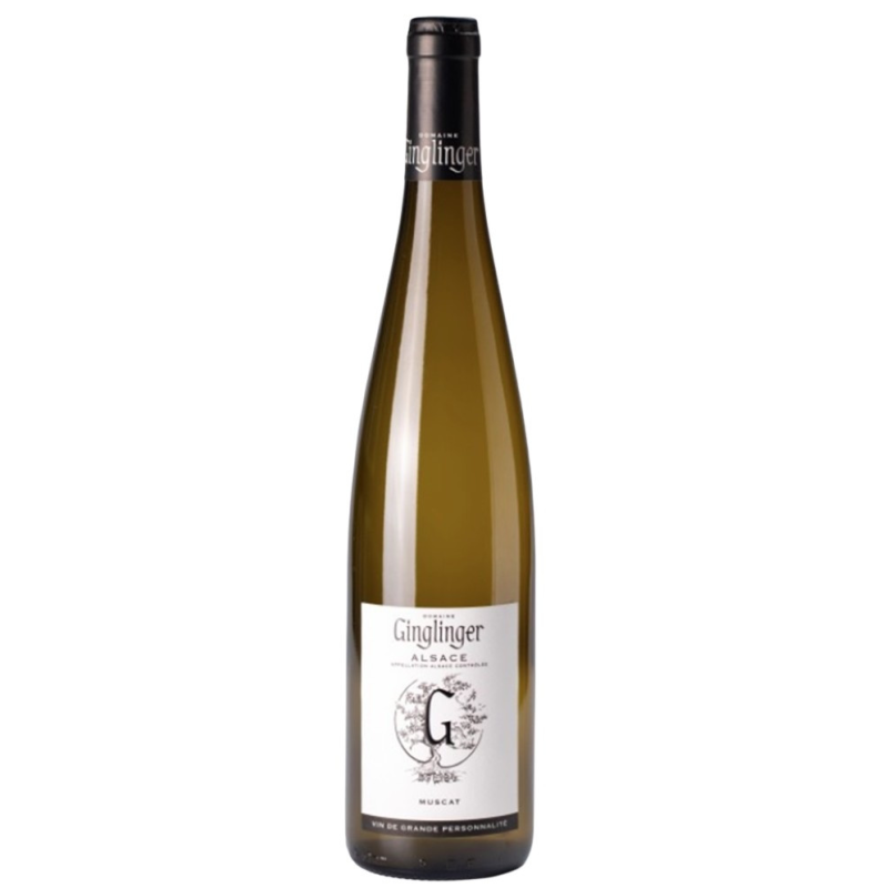 Muscate Domaine Ginglinger Bio 2024 | Vin Blanc Sec Alsace
