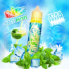 Icee Mint Xtra Fresh - Fruizee 50ml | E-liquide Haute Qualité