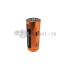 Pile alcaline LR1/N - 1.5 V pour équipement sportif