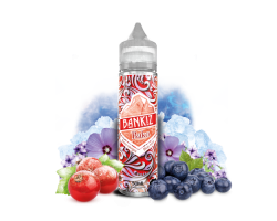 Bako - Bankiz 50ml : E-liquide haut de gamme pour vapotage