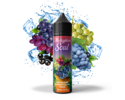 Mix Raisins Fruits Noirs Frais - Malaysian Soul 50ml | E-liquide Premium