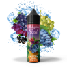 Mix Raisins Fruits Noirs Frais - Malaysian Soul 50ml | E-liquide Premium