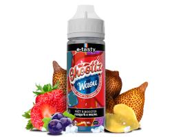 Waou - Shootiz 170ml | E-liquide haut de gamme sans nicotine