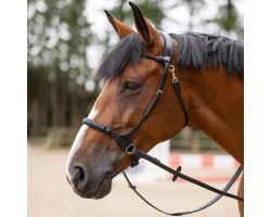 Bridon Bitless Evolution - Accessoire haut de gamme pour cavaliers