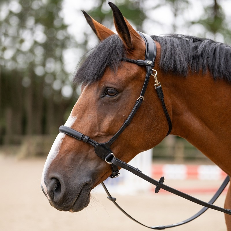 Bridon Bitless Evolution - Accessoire haut de gamme pour cavaliers