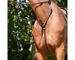 Martingale à anneaux Jump'In – Collection One | Accessoires Équestres