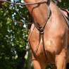 Martingale à anneaux Jump'In – Collection One | Accessoires Équestres