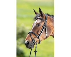 Bridon HFI Technical - Confort et élégance pour votre cheval
