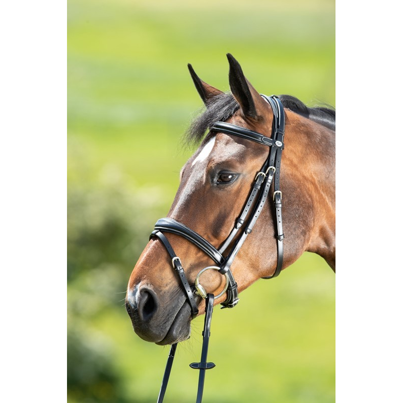 Bridon HFI Technical - Confort et élégance pour votre cheval
