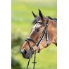 Bridon HFI Technical - Confort et élégance pour votre cheval