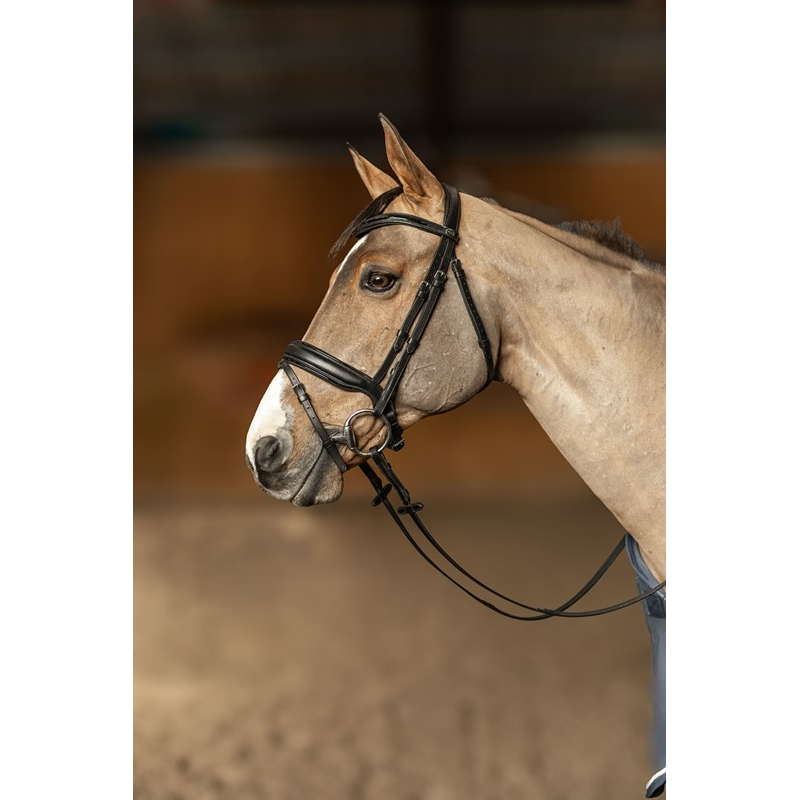 Bridon anatomique Pull-Back - FILET HFI PULL BACK EDGES