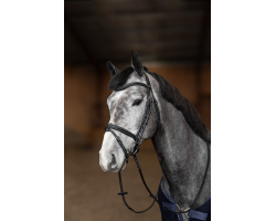 Bridon Combone Flex - Confort et Élégance pour Chevaux
