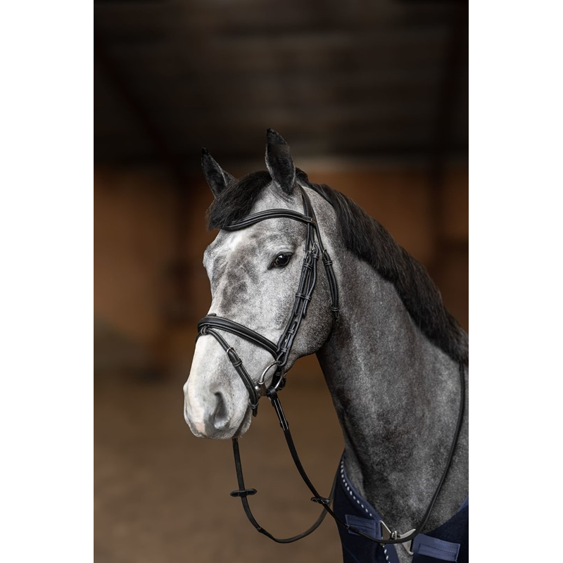 Bridon Combone Flex - Confort et Élégance pour Chevaux