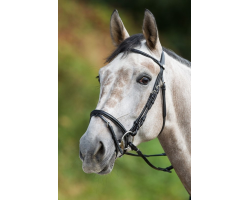 Filet Regular HFI - Élégance et Confort pour Chevaux