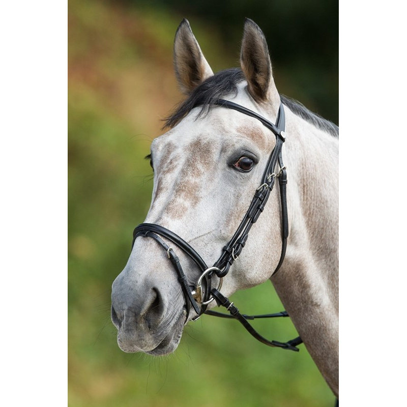 Filet Regular HFI - Élégance et Confort pour Chevaux