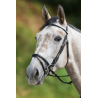 Filet Regular HFI - Élégance et Confort pour Chevaux