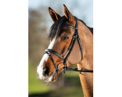 Bridon HFI Elegant - Accessoire Équestre Haut de Gamme