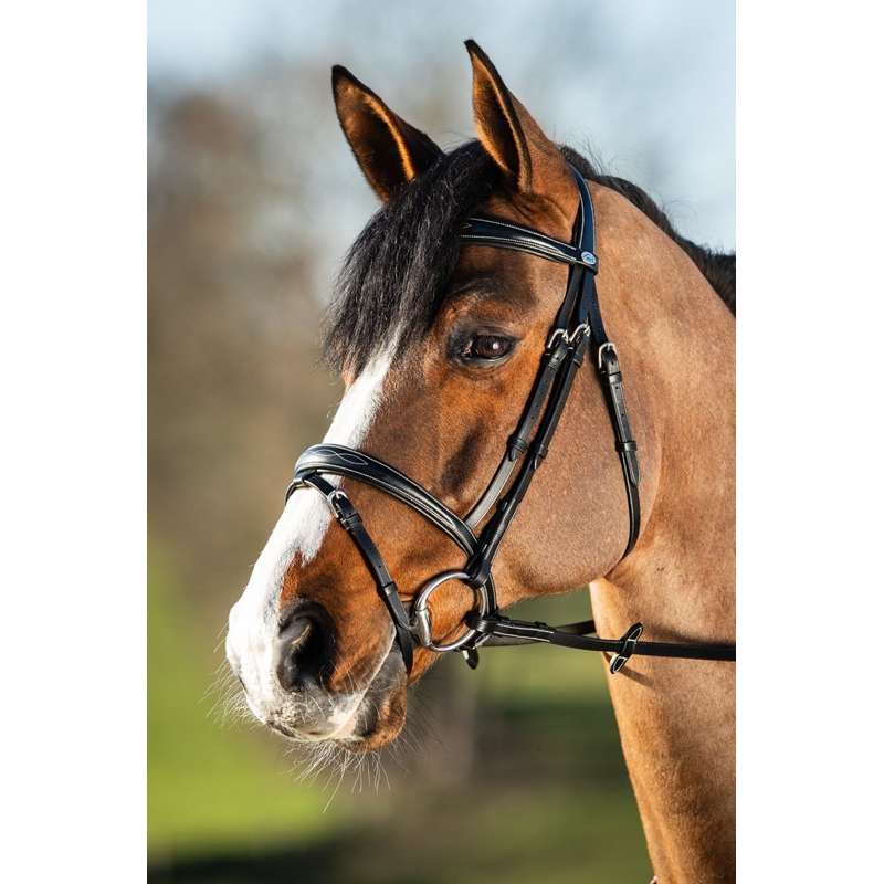 Bridon HFI Elegant - Accessoire Équestre Haut de Gamme