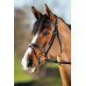 Bridon HFI Elegant - Accessoire Équestre Haut de Gamme