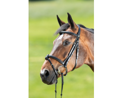 Filet HFI Anatomic - Confort et style pour votre cheval