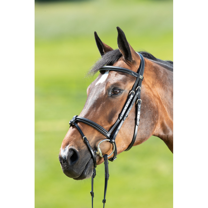 Filet HFI Anatomic - Confort et style pour votre cheval