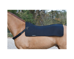 Chauffe-dos Back on Track Royal - Bien-être et récupération musculaire pour votre cheval