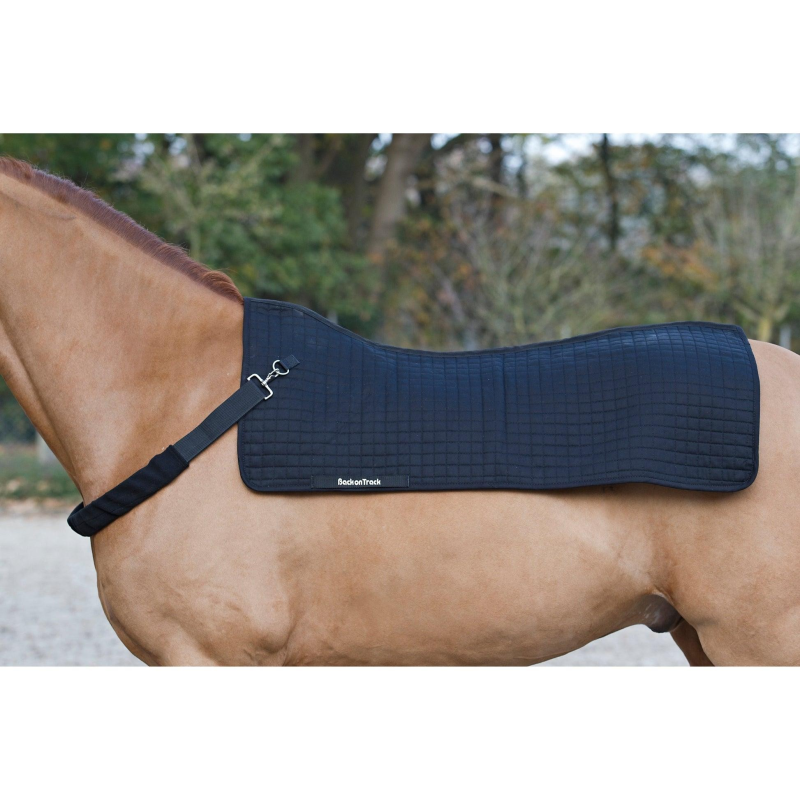 Chauffe-dos Back on Track Royal - Bien-être et récupération musculaire pour votre cheval