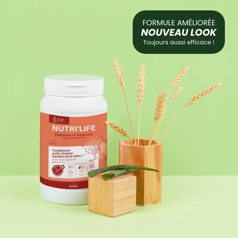 Nutri’Life - Aliment Minéral Complémentaire pour Chevaux | Soins et Hygiène