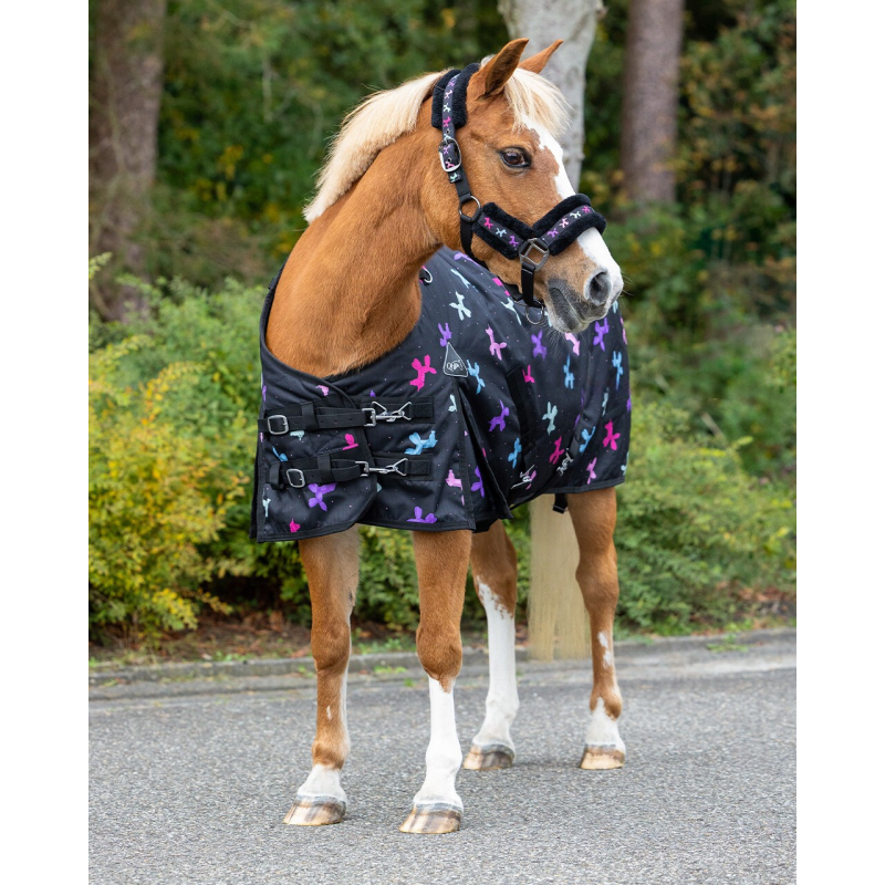 Couverture QHP Isalyn 100 g - Protection hivernale pour poney