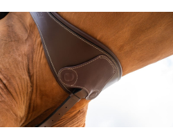 Sangle anatomique HFI avec aimants - Accessoires pour équitation