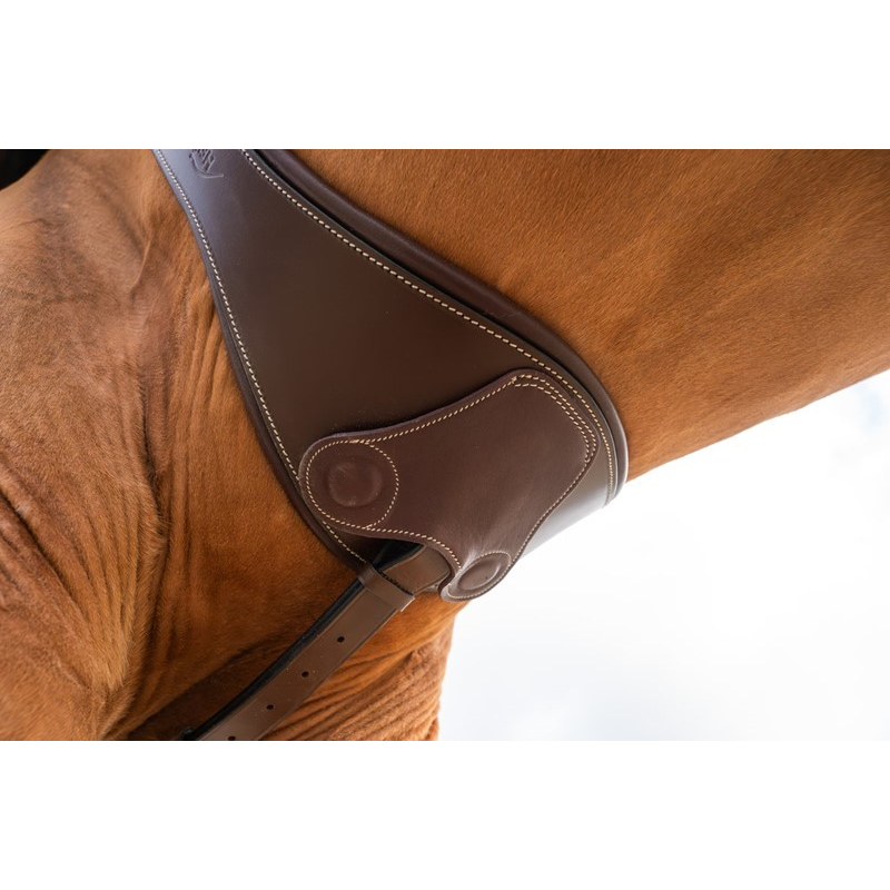 Sangle anatomique HFI avec aimants - Accessoires pour équitation