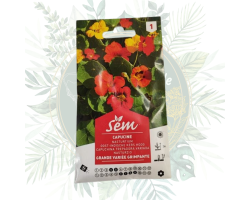Capucine grande variée grimpante pour un jardin fleuri et sain