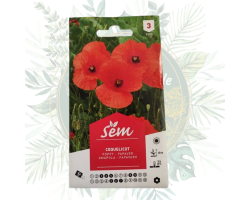 Coquelicot - Fleur annuelle ornementale et médicinale pour votre jardin
