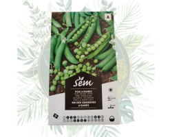 Pois à rames roi des conserves - Jardin