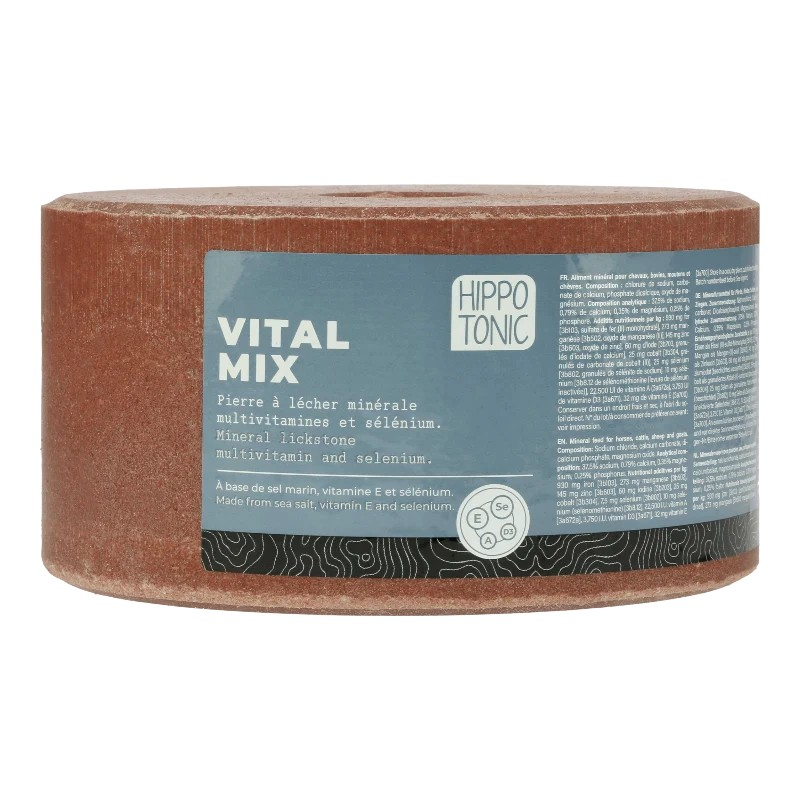 Pierre à Sel Vitalmix 3 kg - Complément Nutritionnel pour Chevaux