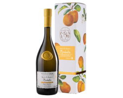 MIRABELLE RENAISSANCE NUSBAUMER EAU DE VIE 70 CL 45°